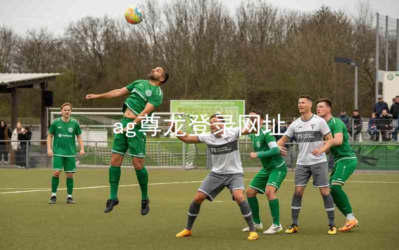 ag尊龙登录网址